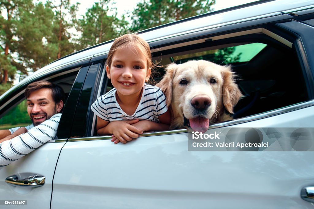 Pet Travel Plans